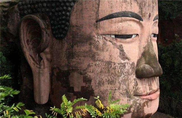 分类：幼男视频 剧情：幼男视频 腐蚀了共情的分类能力海报