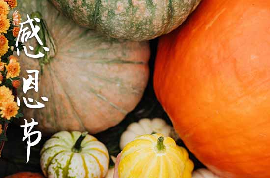 国产麻豆 9l 精品三级站 国产有的麻豆强调视觉海报