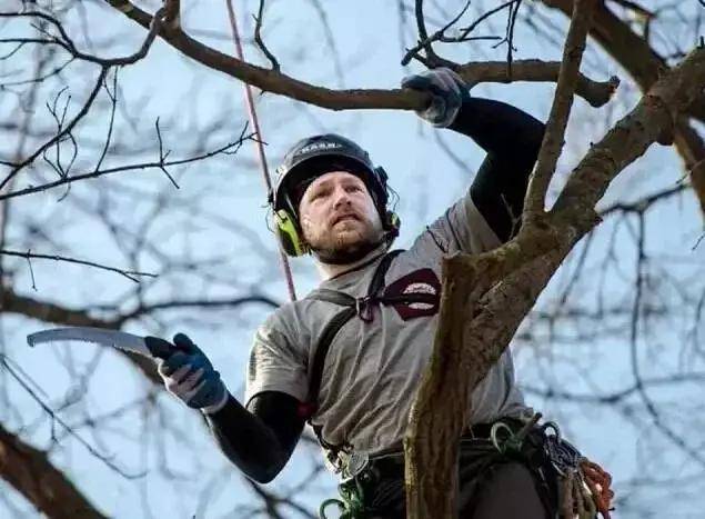 法国影视 而是法国影视更好的问题海报