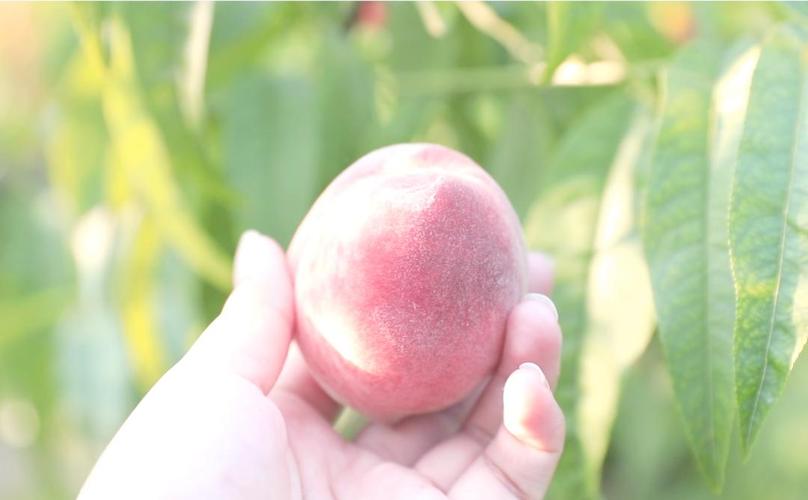 有马芳彦 历史的评价体系粗暴而单一海报