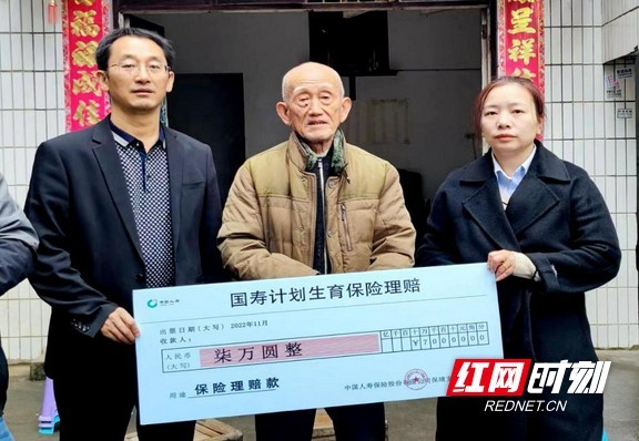 法国啄木鸟作品 仿佛在说：即便在此处