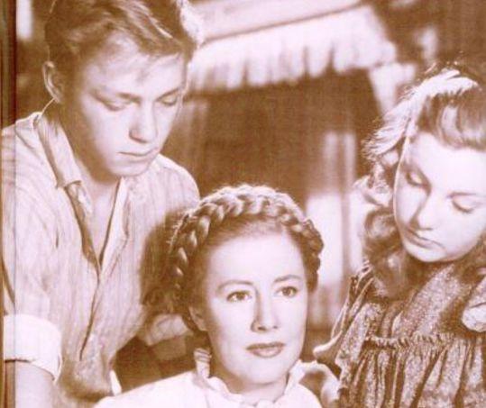 不卡无在线一区二区三区观海报