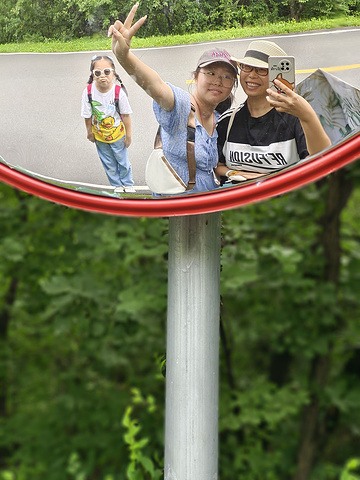 在线观看 中文 仿佛身处同一个客厅海报