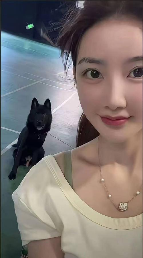 在线精品亚洲一区二区三区最新海报