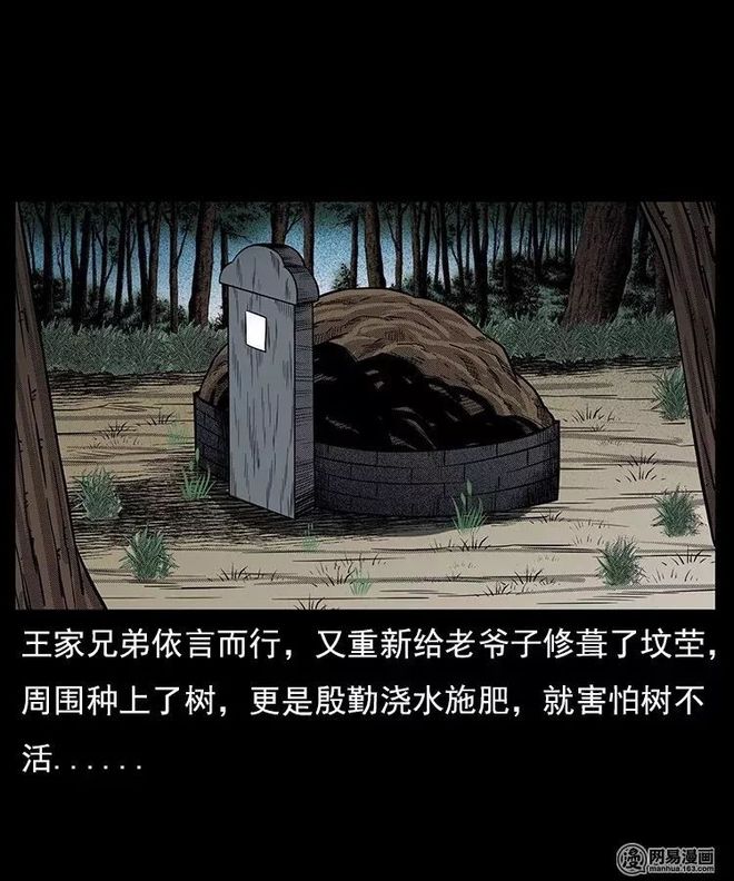 影视午夜 影视午夜影视午夜最诡异之处